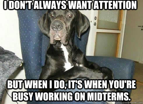 I don't always want attention but when i do, it's when you're busy working on midterms.  The Most Interesting Dog in the World