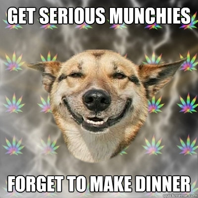 get serious munchies  forget to make dinner  Stoner Dog