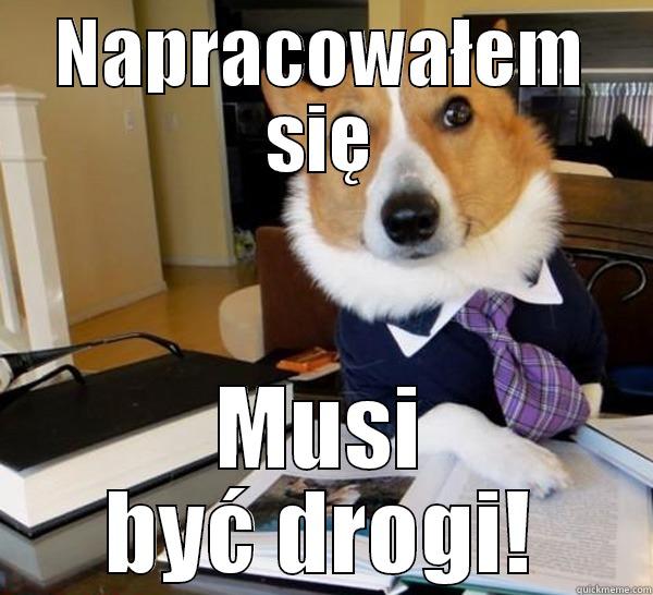 NAPRACOWAŁEM SIĘ MUSI BYĆ DROGI! Lawyer Dog