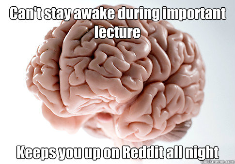 Can't stay awake during important lecture Keeps you up on Reddit all night  Scumbag Brain