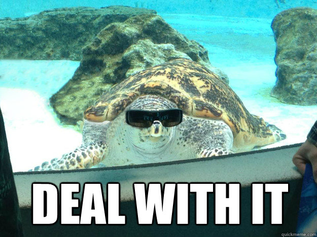 Deal with it - Deal with it  Misc