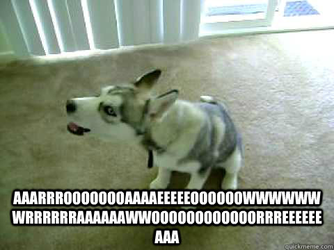  aaarrroooooooaaaaeeeeeoooooowwwwwwwrrrrrraaaaaawwoooooooooooorrreeeeeeaaa -  aaarrroooooooaaaaeeeeeoooooowwwwwwwrrrrrraaaaaawwoooooooooooorrreeeeeeaaa  Misc