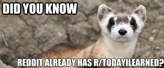 Did you know reddit already has r/TodayIlearned?  Fun-Fact-Ferret