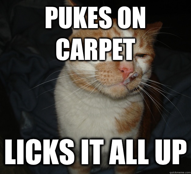 Pukes on carpet Licks it all up  Cool Cat Craig