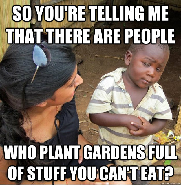 So you're telling me that there are people who plant gardens full of stuff you can't eat?  Skeptical Third World Kid