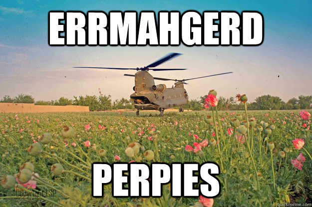 errmahgerd perpies - errmahgerd perpies  Heli