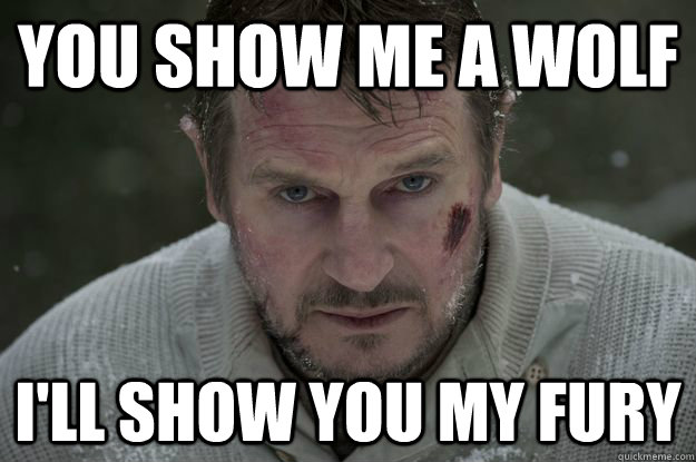 You show me a wolf I'll show you my fury  Liam Neeson Wolf Puncher