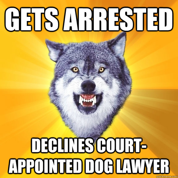 gets arrested declines court-appointed dog lawyer  Courage Wolf