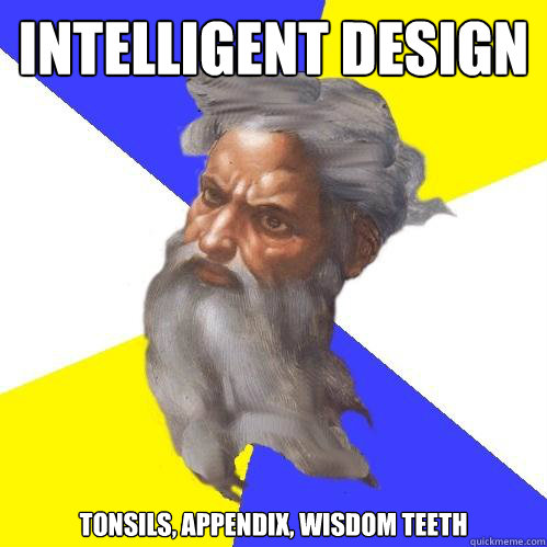 Intelligent Design Tonsils, Appendix, Wisdom teeth  Advice God