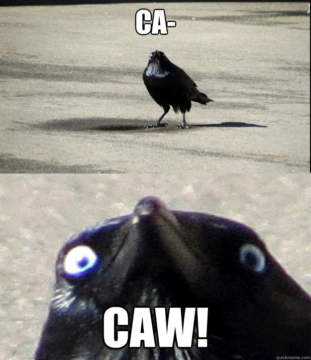 ca- CAW!  Insanity Crow