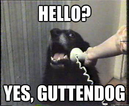 Hello? Yes, Guttendog - Hello? Yes, Guttendog  Misc