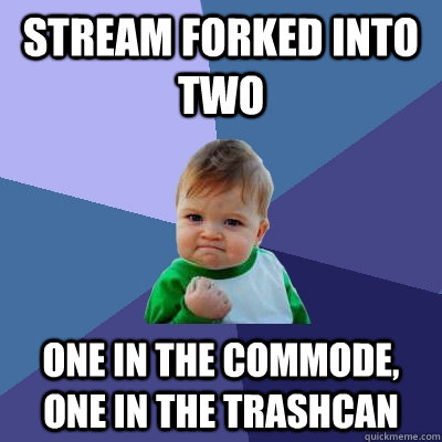 Stream forked into two One in the commode, one in the trashcan  Success Kid