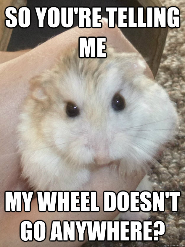 So you're telling me My wheel doesn't go anywhere?  - So you're telling me My wheel doesn't go anywhere?   Sad Hamster