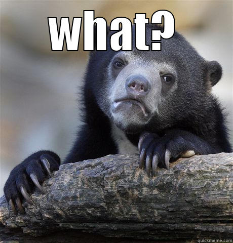 WHAT?  Confession Bear