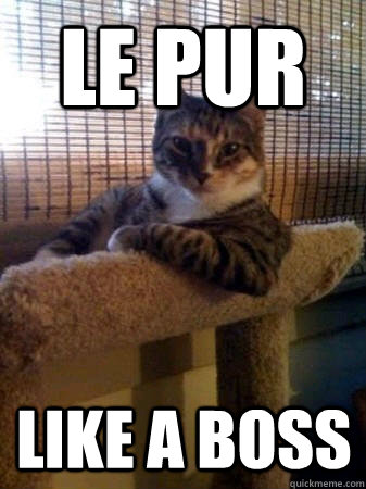 le pur like a boss  The Most Interesting Cat in the World