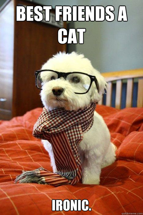 Best friends a cat Ironic. - Best friends a cat Ironic.  Hipster Dog