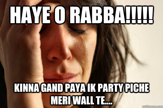 haye o rabba!!!!! kinna gand paya ik party piche meri wall te....  First World Problems