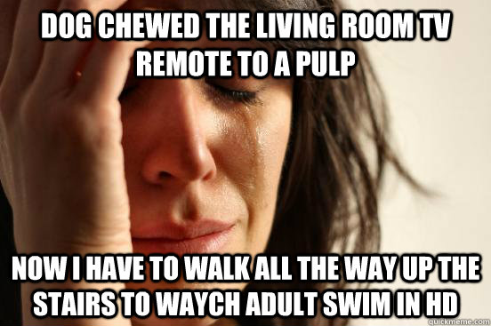 Dog Chewed the living room TV remote to a pulp Now i have to walk all the way up the stairs to waych Adult Swim in HD  First World Problems