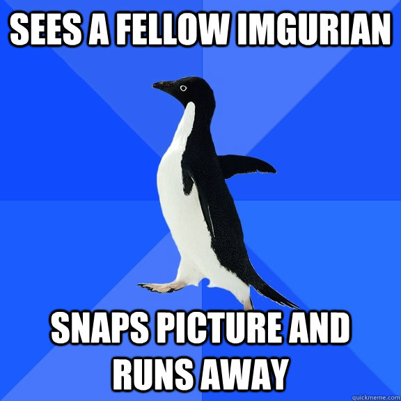 Sees a fellow Imgurian snaps picture and runs away  Socially Awkward Penguin