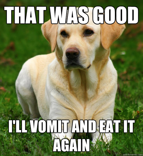 That was good I'll vomit and eat it again - That was good I'll vomit and eat it again  Dog Logic