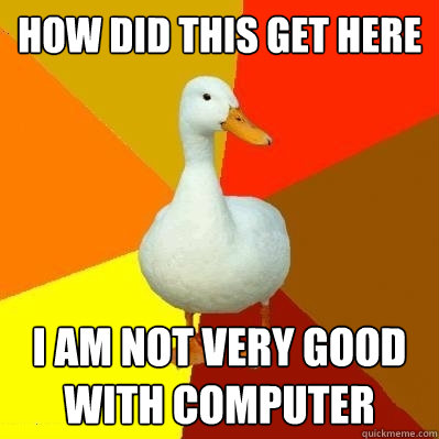 HOW DID THIS GET HERE I AM NOT VERY GOOD WITH COMPUTER  Tech Impaired Duck