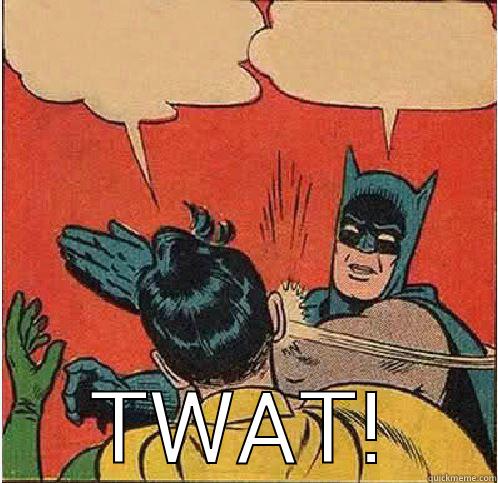  TWAT! Batman Slapping Robin