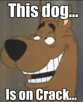 This dog... Is on Crack... - This dog... Is on Crack...  scooby doo you mad bro