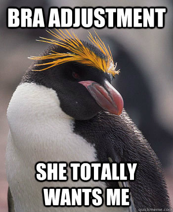 Bra Adjustment She totally wants me  Socially Overconfident Penguin