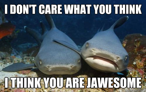 I don't care what you think i think you are jawesome  Compassionate Shark Friend