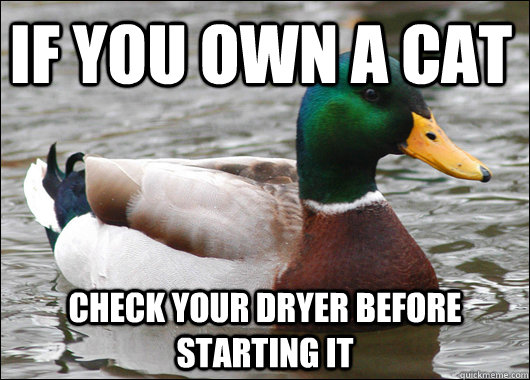 If you own a cat Check your dryer before starting it  Actual Advice Mallard