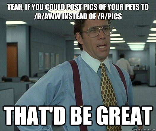 Yeah, if you could post pics of your pets to /r/aww instead of /r/pics That'd be great  Lumbergh