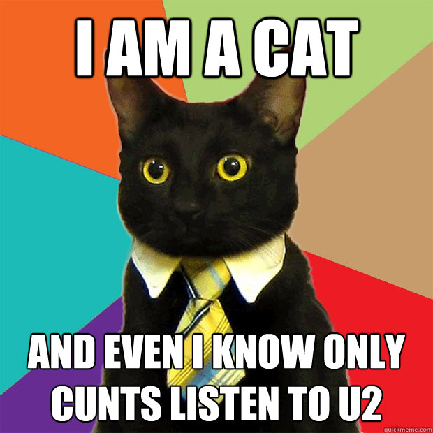 I am a cat And even I know only cunts listen to U2  Business Cat