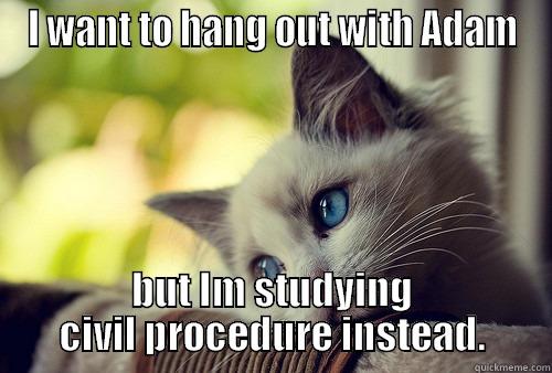 I WANT TO HANG OUT WITH ADAM BUT IM STUDYING CIVIL PROCEDURE INSTEAD. First World Problems Cat