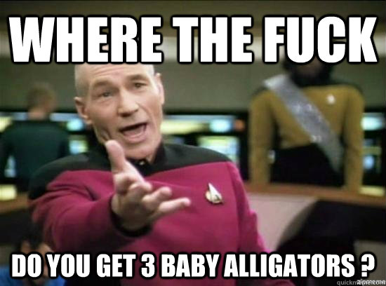 Where the fuck do you get 3 baby alligators ?  Annoyed Picard HD