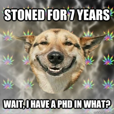 stoned for 7 years wait, i have a phd in what?  Stoner Dog