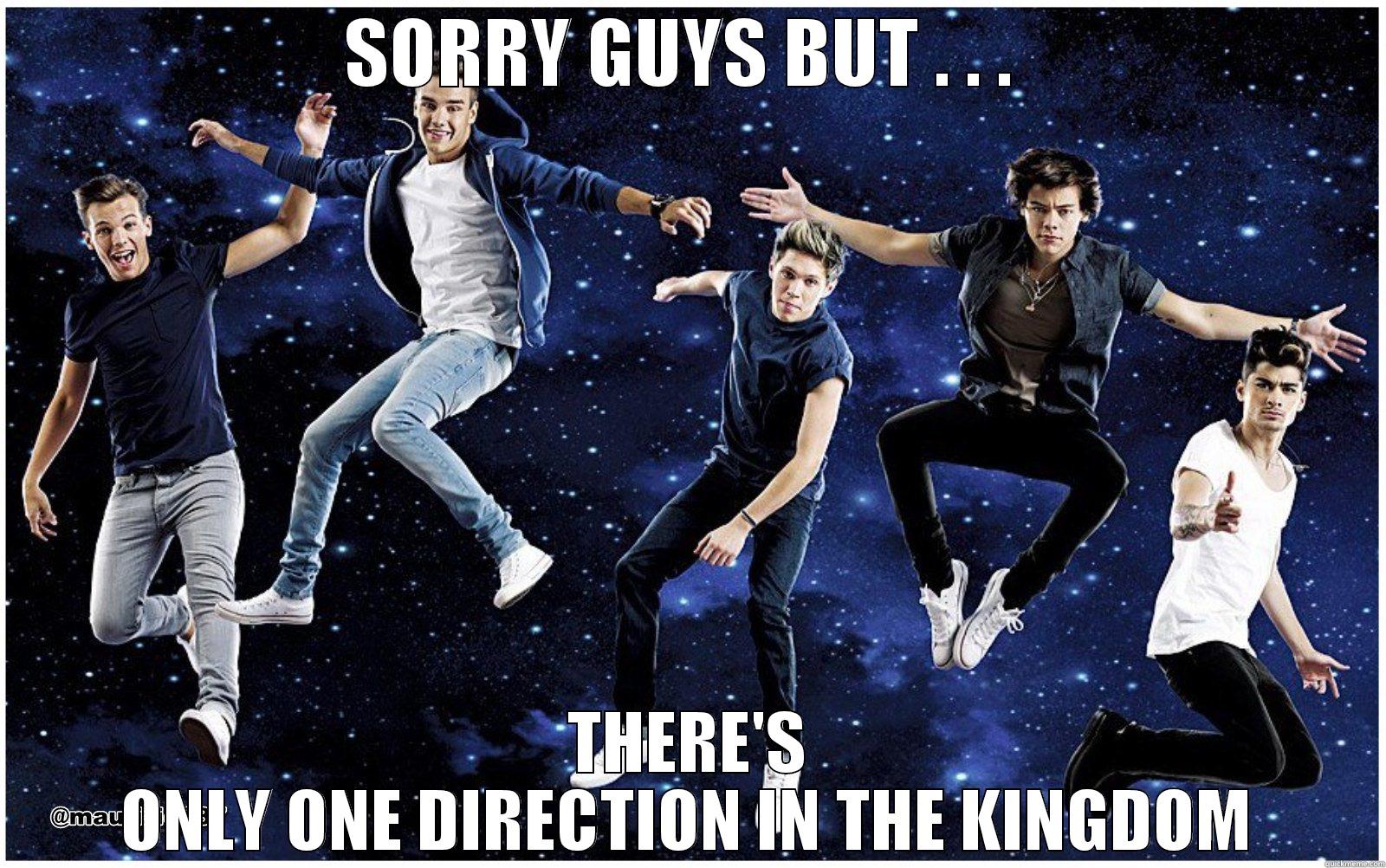 SORRY GUYS BUT . . .  THERE'S ONLY ONE DIRECTION IN THE KINGDOM Futurama Fry