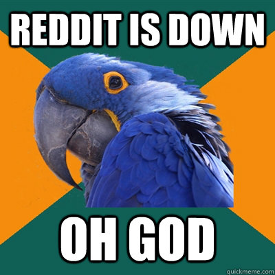 Reddit is down oh god  Paranoid Parrot