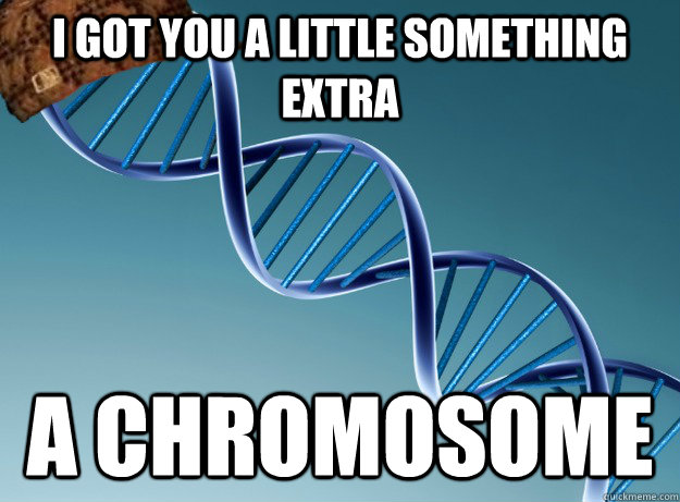 I got you a little something extra A chromosome  Scumbag Genetics