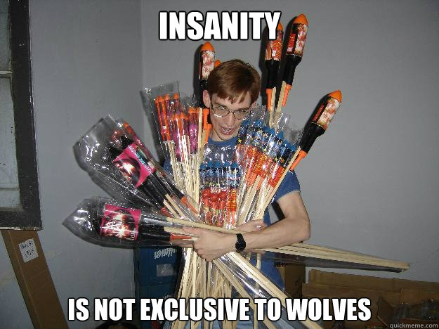 insanity is not exclusive to wolves  Crazy Fireworks Nerd
