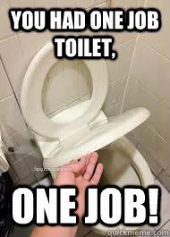 You had one job toilet, One Job!  
