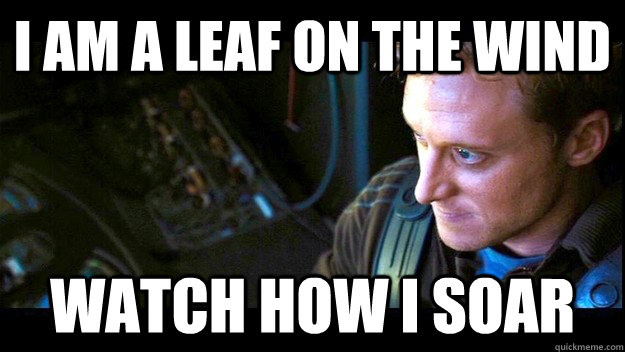 I am A leaf on the wind watch how i soar  Doctor Who