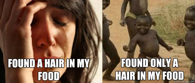 Found a hair in my food found only a hair in my food  First World Problems  Third World Success