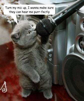 Turn my mic up, I wanna make sure they can hear me purr-fectly  