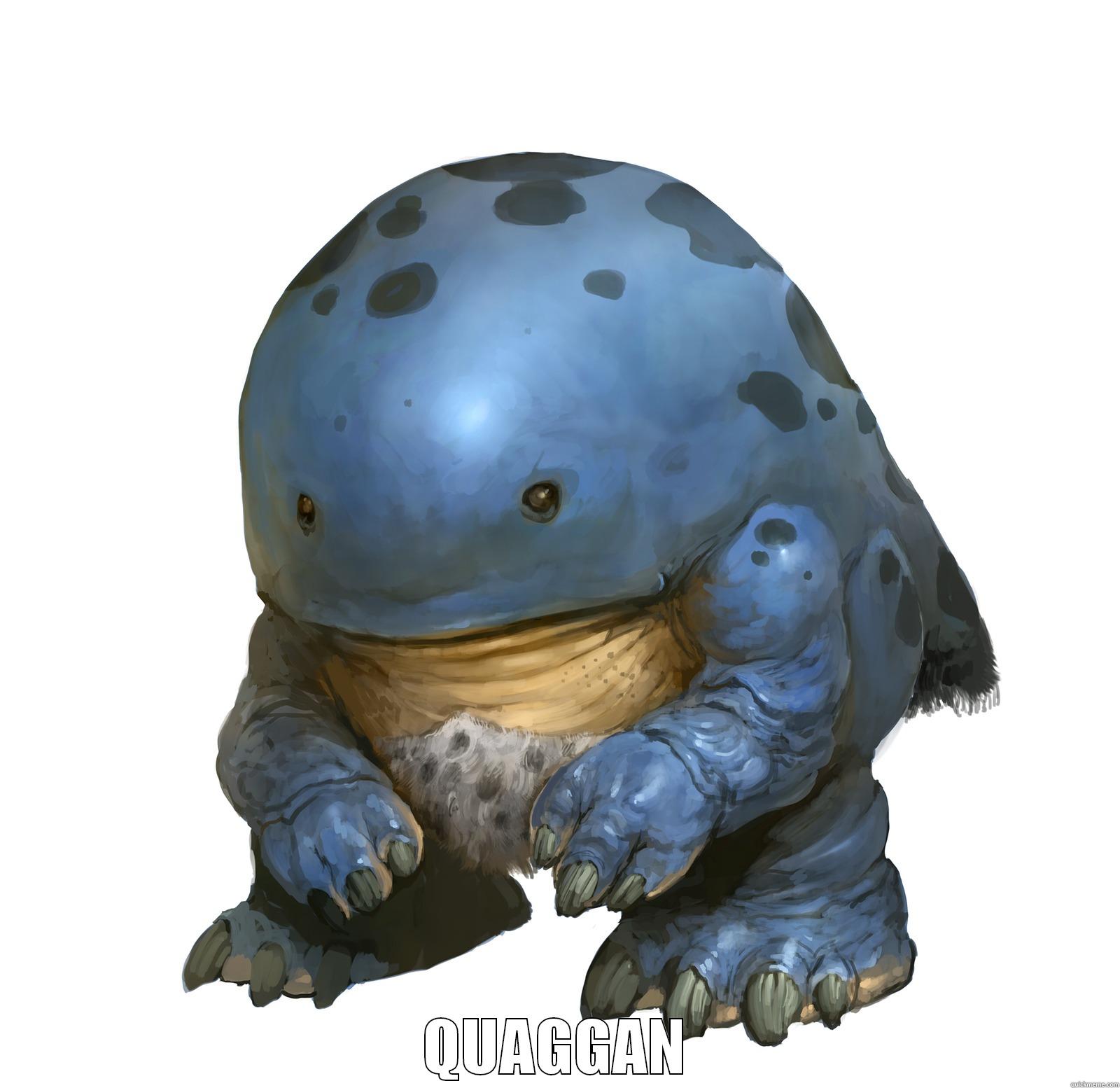 quaggan is quaggan -  QUAGGAN Misc