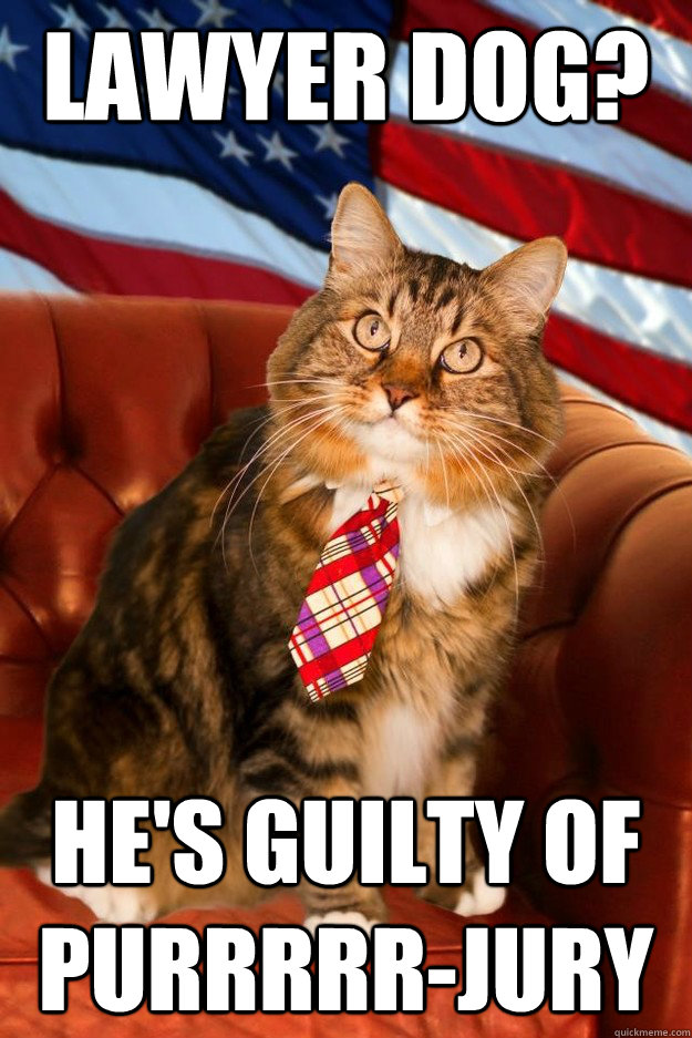 Lawyer Dog? He's guilty of purrrrr-jury  Patriotic Lawyer Cat