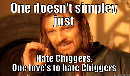 ONE DOESN'T SIMPLEY JUST HATE CHIGGERS. ONE LOVE'S TO HATE CHIGGERS Boromir