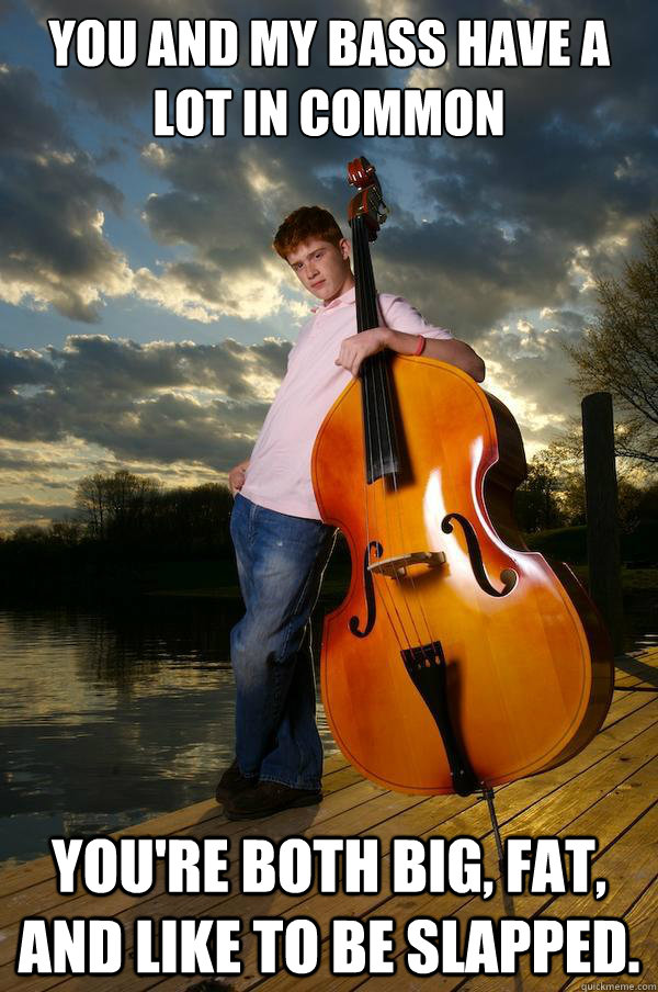 You and my bass have a lot in common You're both big, fat, and like to be slapped.  Over-confident Bassist