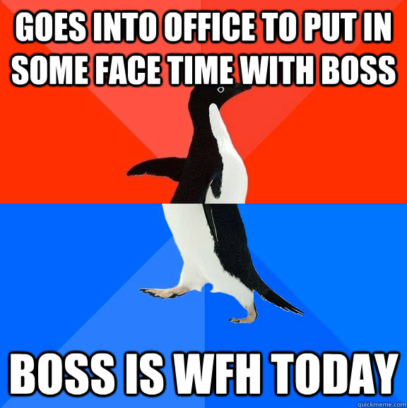 Goes into office to put in some face time with boss Boss is WFH today  Socially Awesome Awkward Penguin
