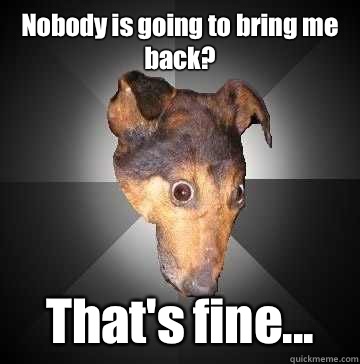 Nobody is going to bring me back? That's fine...  Depression Dog
