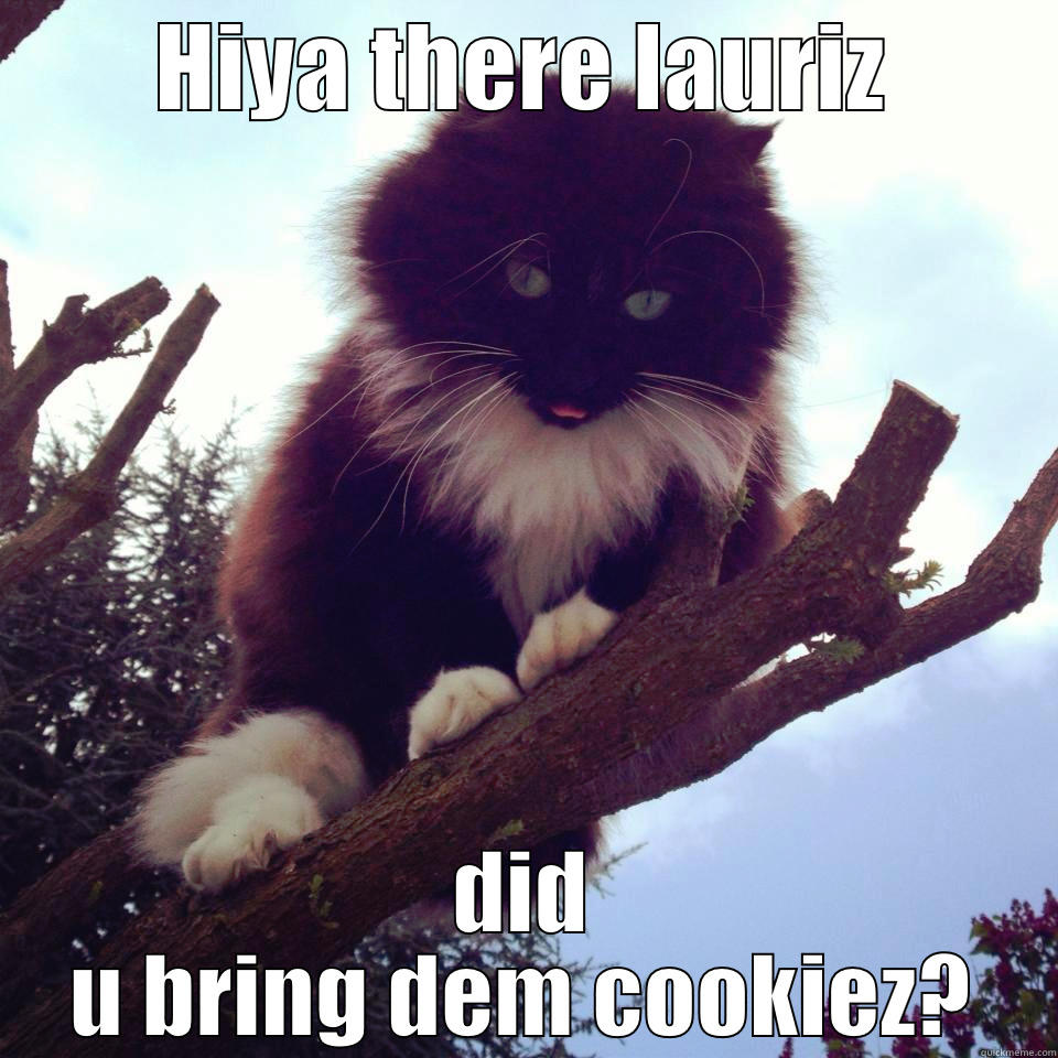 lunita en el jardin - HIYA THERE LAURIZ DID U BRING DEM COOKIEZ? Misc